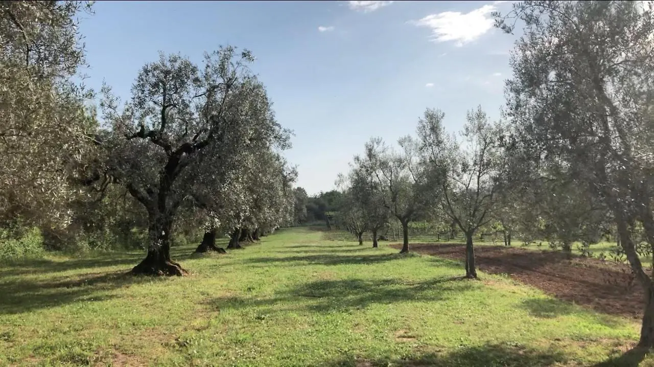 Farm stay Agriturismo Eco-Bio Villa Vacasio Pitigliano Italy