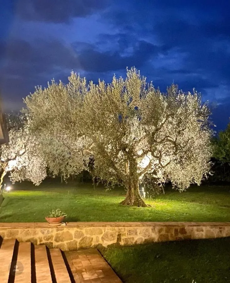 Agriturismo Eco-Bio Villa Vacasio Pitigliano Italie